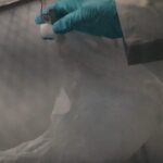 magarada bulunan ceset 10 yildir aranan gulizara ait cikti cinayet suphelisi dna ile tespit edildi 2eacff8eb142