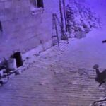 maskeli supheli 4 araci kundakladi alevler eve sicramadan sonduruldu 2a23dd9a4784