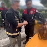 mersinde 2 milyon liralik dolandiricilik yapan supheli osmaniyede yakalandi dd9ff78a7f51