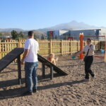 millet bahcesinde kopekler parkurda egitilip stres seviyeleri yuruyusle azaltiliyor 7de7d8f9f55c