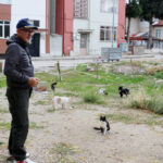 muftu bicerden kedi patisi kesenlere tibbi yardim alin cagrisi 61335196d2b3