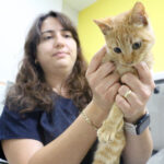 muftu bicerden kedi patisi kesenlere tibbi yardim alin cagrisi a55e29a4e19a