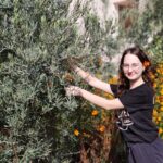 okul bahcesinde ogrencilerden zeytin hasadi 62e8806e5208