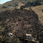 patlican ve biber kozlerken dagdaki otluk araziyi yakti 0282f78bc2ce