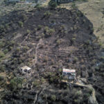 patlican ve biber kozlerken dagdaki otluk araziyi yakti f6bb9fc9bbd8