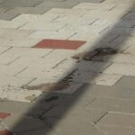 restorator tugbanin 5inci kattan dusup olmesiyle ilgili davanin tanigi intihar egilimi gozlemlemedik d5d99b3d5cc5