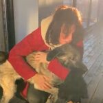 siddet uygulayana 6 ay 10 gun hapis cezasi verildi yigit adi konulan kopek bursadaki barinaga gidecek video eklendi 2b340f8650ba