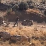 siddet uygulayana 6 ay 10 gun hapis cezasi verildi yigit adi konulan kopek bursadaki barinaga gidecek video eklendi 5392f1c62105
