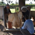 smyrna antik kentinde 1800 yillik heykel govdesi bulundu kime ait oldugu arastiriliyor 283b6f7a2592