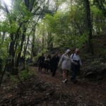 sonbahar yuruyusunde dogaseverler dogancay selalesinde bulustu 82c6b392d7b6