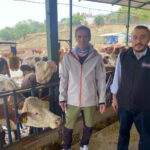 sut ineklerinin sagligini yapay zeka ile 24 saat takip ediyorlar 108fe89f60c5