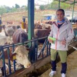 sut ineklerinin sagligini yapay zeka ile 24 saat takip ediyorlar 7d459247f7e3