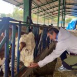 sut ineklerinin sagligini yapay zeka ile 24 saat takip ediyorlar b46659b2deff