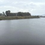 suyu 50 metre cekilen bafa golune buyuk menderes nehri hayat verecek 946f0ddeff1d