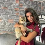 takinti hastasi kedi artasa antidepresanli tedavi 48c2134d0342