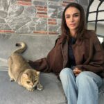 takinti hastasi kedi artasa antidepresanli tedavi e718a014280e