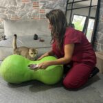 takinti hastasi kedi artasa antidepresanli tedavi fe7f0547ac4e