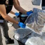 tirdaki valizlerden 55 kilo skunk cikti arkadasim rica etti dedi 8feb3d6ff552