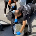 tirdaki valizlerden 55 kilo skunk cikti arkadasim rica etti dedi 9d0502eec592