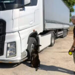 tirdaki valizlerden 55 kilo skunk cikti arkadasim rica etti dedi f2b8d50c8e8d