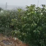 Tokat'ın Yüksek Kesimlerinde İlk Kar Yağışı Görüldü 1 tokata yuksek kesimlere kar yagdi 3f47099c87a8