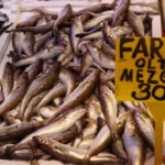 trabzonda balik tezgahlarinda cesit bollugu 19f53fededfb