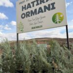 trafik kazasinda olen profesor icin hatira ormani ebd3961f5d37
