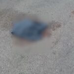 traktorun capasina carpan motosikletin surucusu oldu b41a73e9334a