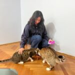 tunus donusu ucakta kaybolan kedi icin suc duyurusu 832e9bbf1894