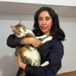 tunus donusu ucakta kaybolan kedi icin suc duyurusu e3d2bc0e1134