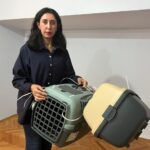 tunus donusu ucakta kaybolan kedi icin suc duyurusu e72059a7ac79