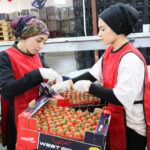 Ukrayna'nın Anti-Damping Kararı İhracatçılarda Tedirginlik Yarattı 4 ukraynanin domates ve dikenli salatalik karari icin cozum cagrisi 28c5d8fcc1b6