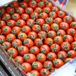 Ukrayna'nın Anti-Damping Kararı İhracatçılarda Tedirginlik Yarattı 7 ukraynanin domates ve dikenli salatalik karari icin cozum cagrisi 3968bd48832d