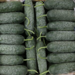 Ukrayna'nın Anti-Damping Kararı İhracatçılarda Tedirginlik Yarattı 5 ukraynanin domates ve dikenli salatalik karari icin cozum cagrisi 88281dcf64a4