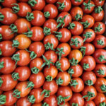 Ukrayna'nın Anti-Damping Kararı İhracatçılarda Tedirginlik Yarattı 6 ukraynanin domates ve dikenli salatalik karari icin cozum cagrisi c1fe303dad3d