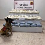 vanda 47 kilo 800 gram skunk ele gecirildi 6b85e46e0496