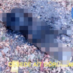 yanmis cesedi bulunan afgan madenci davasinda is kazasi cezalari onandi 68706741b170