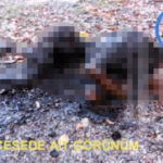 yanmis cesedi bulunan afgan madenci davasinda is kazasi cezalari onandi af7c921d00cc