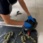 yatak odasina kurdugu serada kenevir yetistiren supheli evi tanimadigim biri kullaniyor dedaa94c0be0