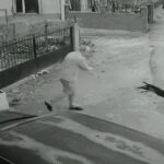 Yavru köpeği kuyruğundan tutup yere fırlattı; o anlar kamerada 1 yavru kopegi kuyrugundan tutup yere firlatti o anlar kamerada 94e3d23fb791