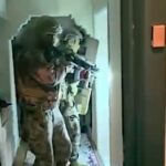 Siber Suçlarla Mücadelede 18 İlde Gerçekleştirilen Operasyonlarda 346 Şüpheli Yakalandı, 162'si Tutuklandı 2 18 ilde siber suc operasyonu 162 tutuklama 55346afa5a2e