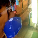 Adana'da 3 Gün Arayla İki Araç Aynı Kaldırımdaki Ağaçlara Çarptı 3 2 otomobil 3 gun arayla ayni kaldirimdaki turunc agaclarina carpti 0c0e535472a5