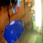 Adana'da 3 Gün Arayla İki Araç Aynı Kaldırımdaki Ağaçlara Çarptı 2 2 otomobil 3 gun arayla ayni kaldirimdaki turunc agaclarina carpti fe56ccef065f