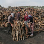 Silifke'de 33 Yıldır Mangal Kömürü Üreten Saraç Ailesi, Yaz Kış Demeden Çalışıyor 3 33 yildir ailece mangal komuru uretiyorlar 2b426eae2402