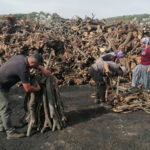 Silifke'de 33 Yıldır Mangal Kömürü Üreten Saraç Ailesi, Yaz Kış Demeden Çalışıyor 2 33 yildir ailece mangal komuru uretiyorlar 4ba633784cd6