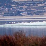 55 yilda 213 metre cekilen burdur golu havadan goruntulendi b37f07a66567