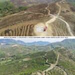 Muğla'daki Yangın Sonrası Yeşeren Alanlar, Geleceğe Nefes Oluyor 3 6 yil once dikilen fidanlar gelecege nefes oldu 3e3fdaa9baed