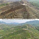 Muğla'daki Yangın Sonrası Yeşeren Alanlar, Geleceğe Nefes Oluyor 5 6 yil once dikilen fidanlar gelecege nefes oldu 44c04bb53530