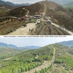 Muğla'daki Yangın Sonrası Yeşeren Alanlar, Geleceğe Nefes Oluyor 1 6 yil once dikilen fidanlar gelecege nefes oldu 57c8ecd35f6e