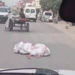 adanada at arabasi otomobile carpti 8aec13866d16